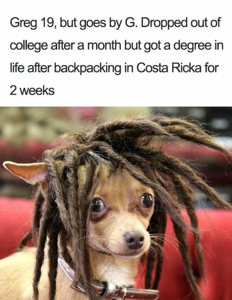 funny chihuahua - Greg 19, but goes by G. Dropped out of college after a month but got a degree in life after backpacking in Costa Ricka for 2 weeks