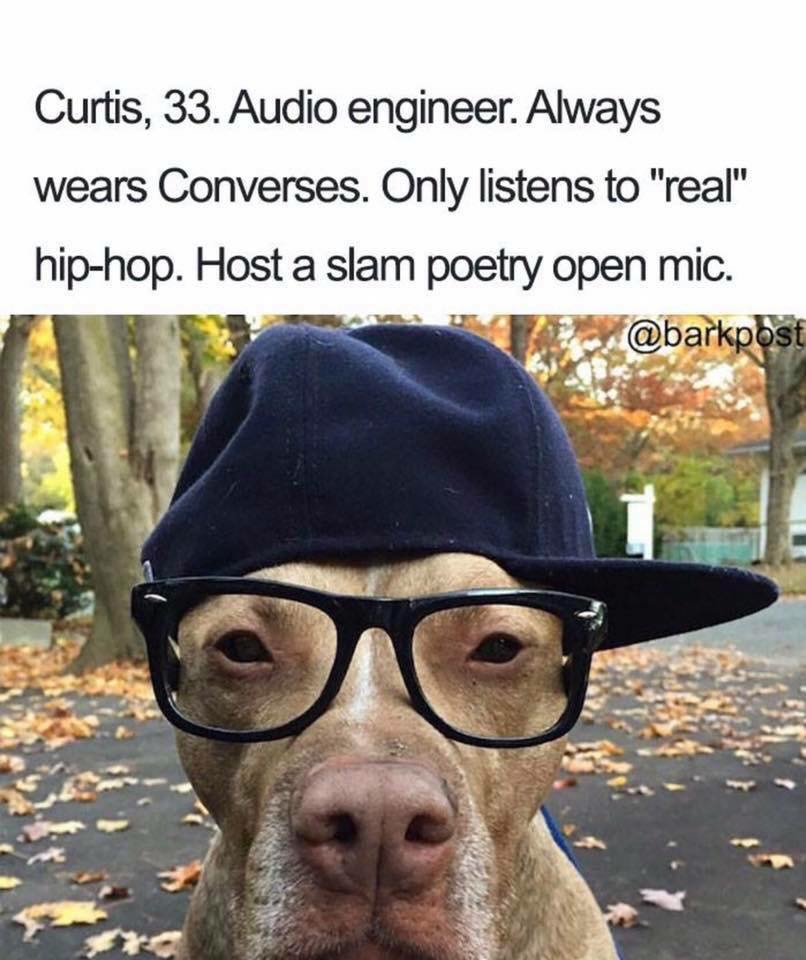 funny dog bios - Curtis, 33. Audio engineer. Always wears Converses. Only listens to "real" hiphop. Host a slam poetry open mic.