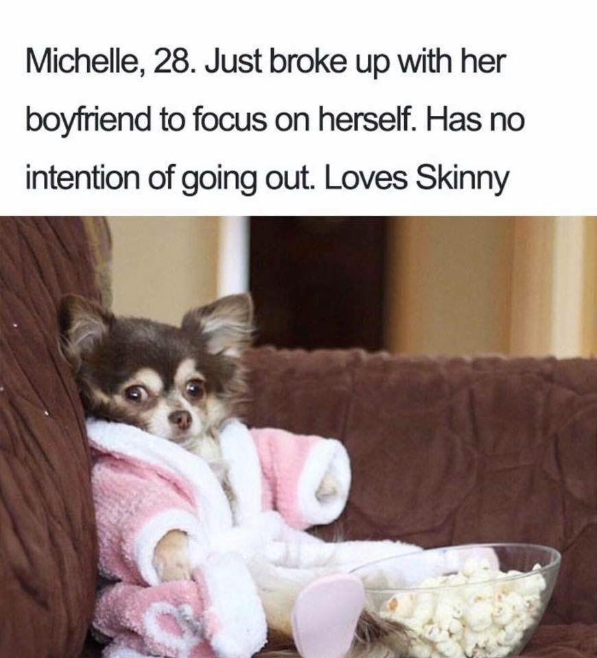 dog bio meme - Michelle, 28. Just broke up with her boyfriend to focus on herself. Has no intention of going out. Loves Skinny