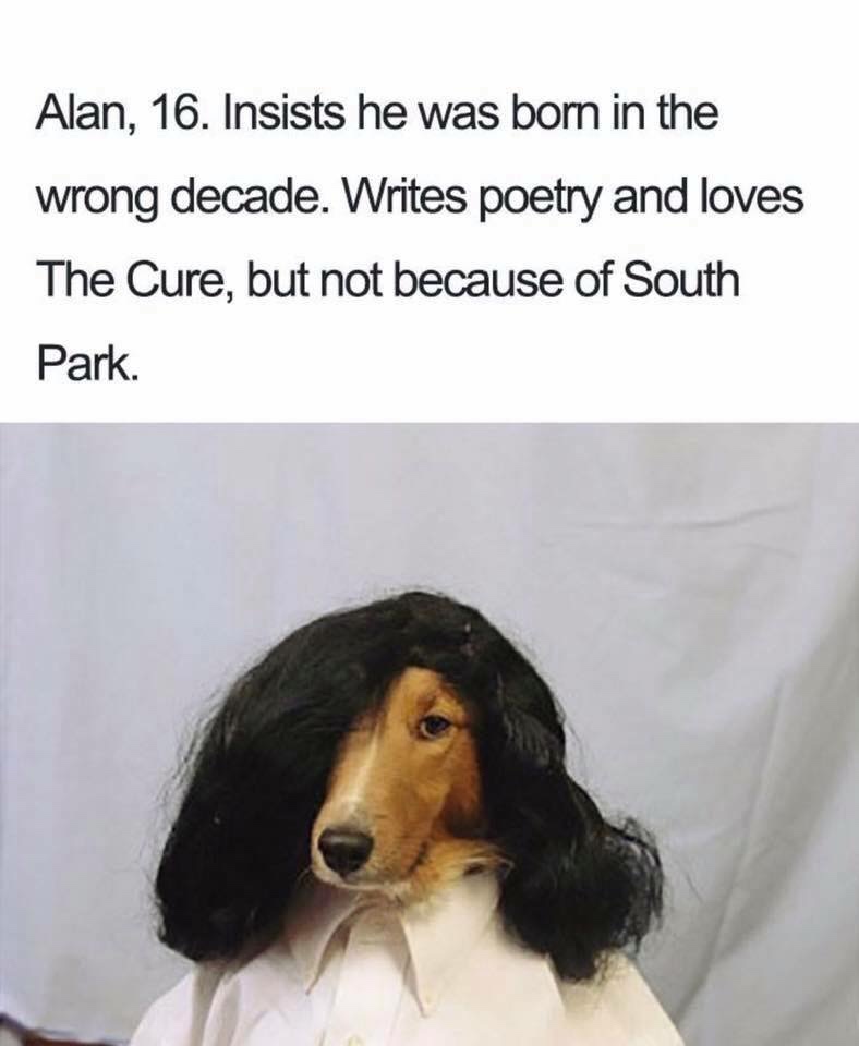 if dogs were people - Alan, 16. Insists he was born in the wrong decade. Writes poetry and loves The Cure, but not because of South Park.