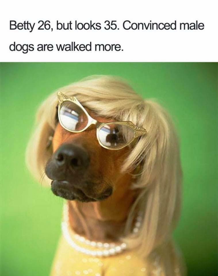 Betty 26, but looks 35. Convinced male dogs are walked more.