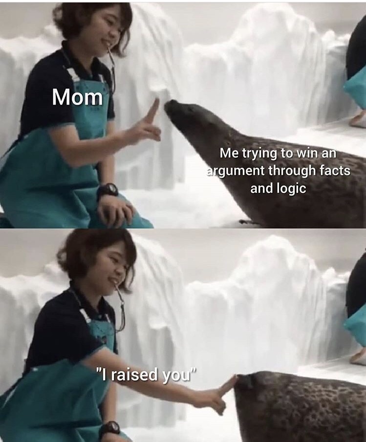raised you meme - Mom Me trying to win an argument through facts and logic "I raised you"