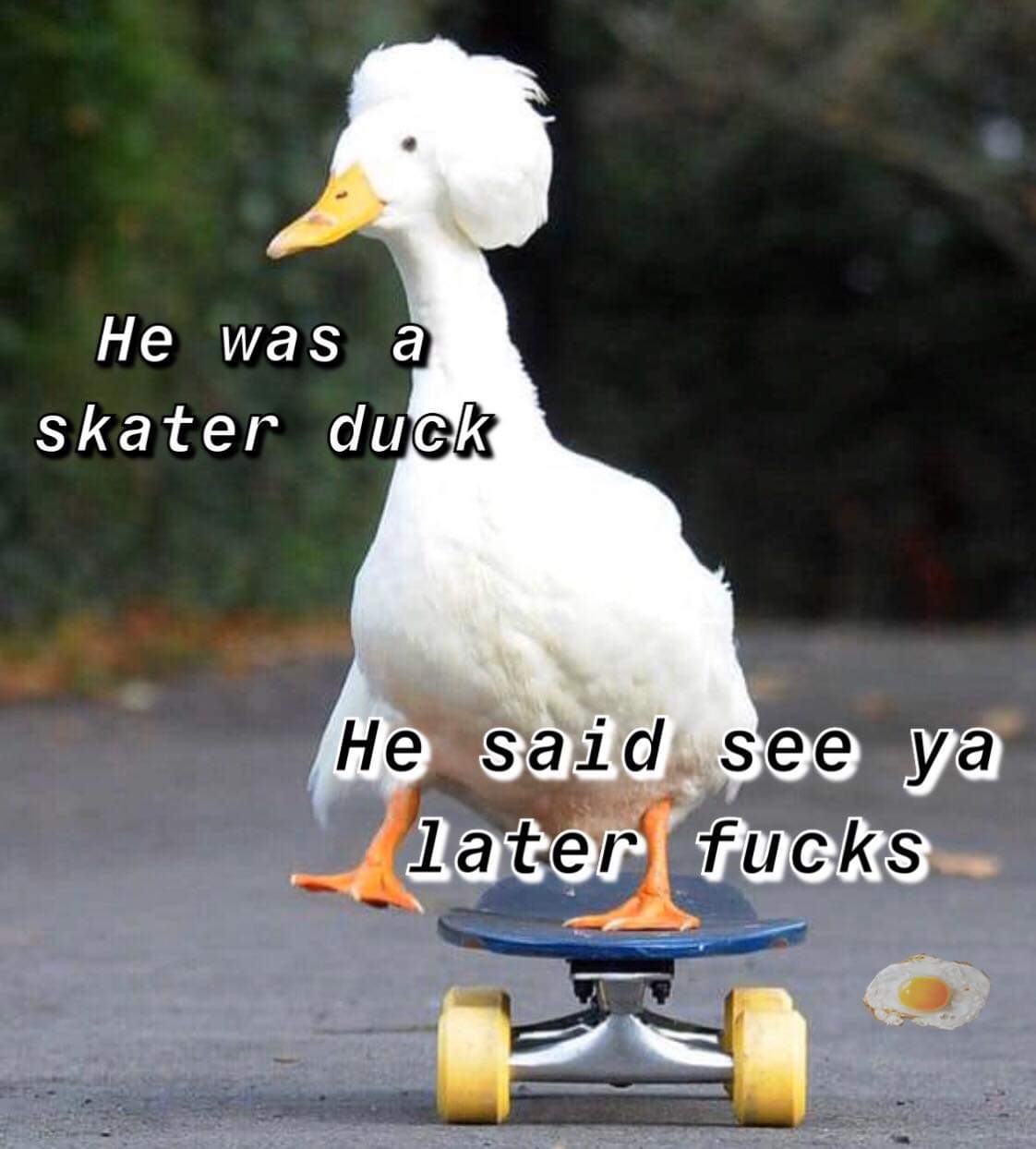 gay duck - He was a skater duck He said see ya later fucks