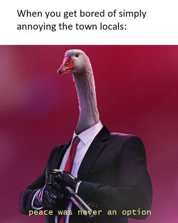 untitled goose game memes - When you get bored of simply annoying the town locals peace was never an option