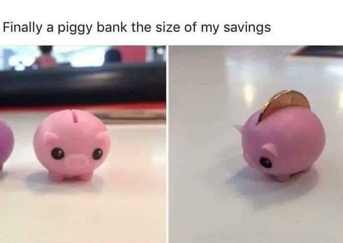 one coin piggy bank - Finally a piggy bank the size of my savings