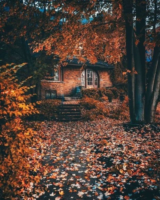 autumn vibes