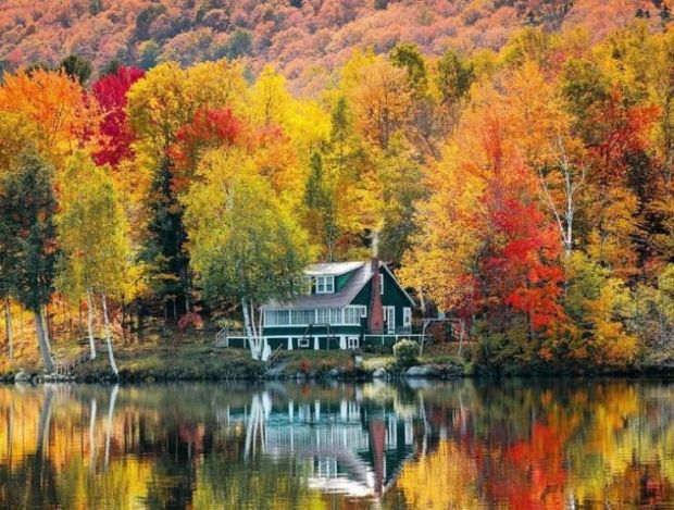 17 Pics That Prove Why Fall Is the Best Season of the Year - Feels ...