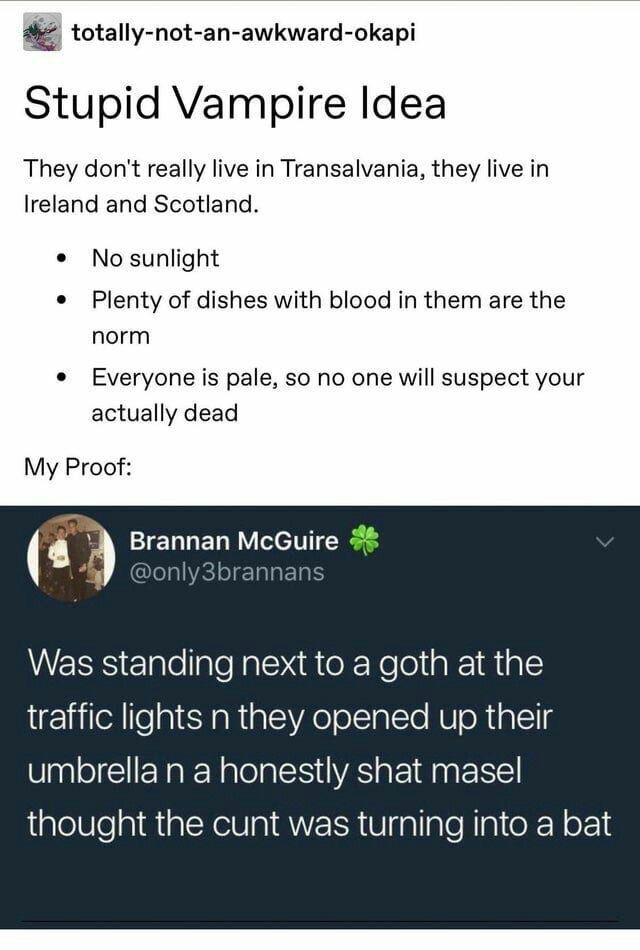 document - totallynotanawkwardokapi Stupid Vampire Idea They don't really live in Transalvania, they live in Ireland and Scotland. No sunlight Plenty of dishes with blood in them are the norm Everyone is pale, so no one will suspect your actually dead My 