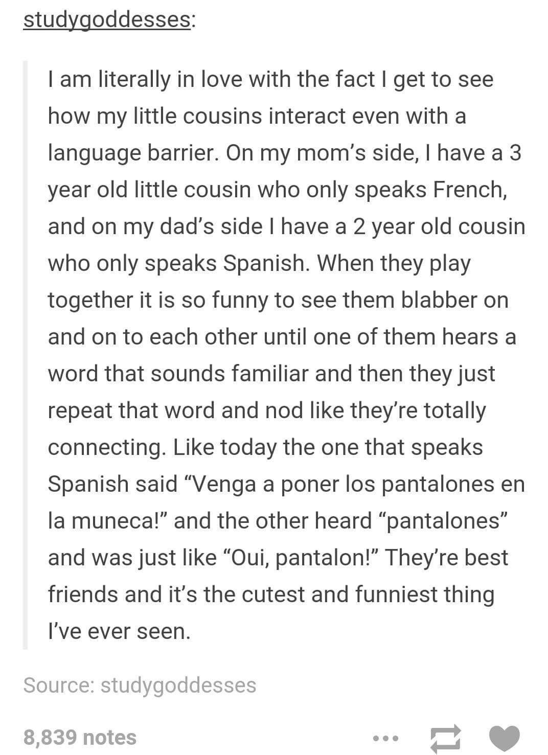 language barrier meme - studygoddesses I am literally in love with the fact I get to see how my little cousins interact even with a language barrier. On my mom's side, I have a 3 year old little cousin who only speaks French, and on my dad's side I have a
