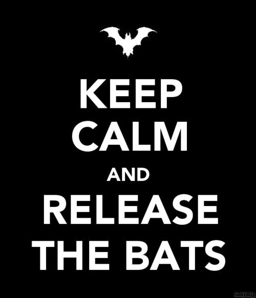 keep calm and stop crying - Keep Calm And Release The Bats