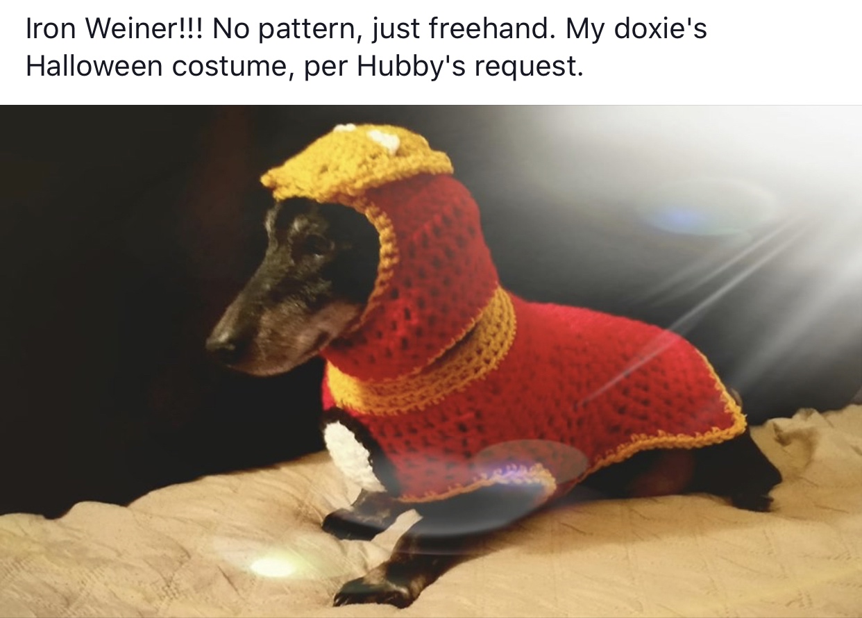 dog - Iron Weiner!!! No pattern, just freehand. My doxie's Halloween costume, per Hubby's request.