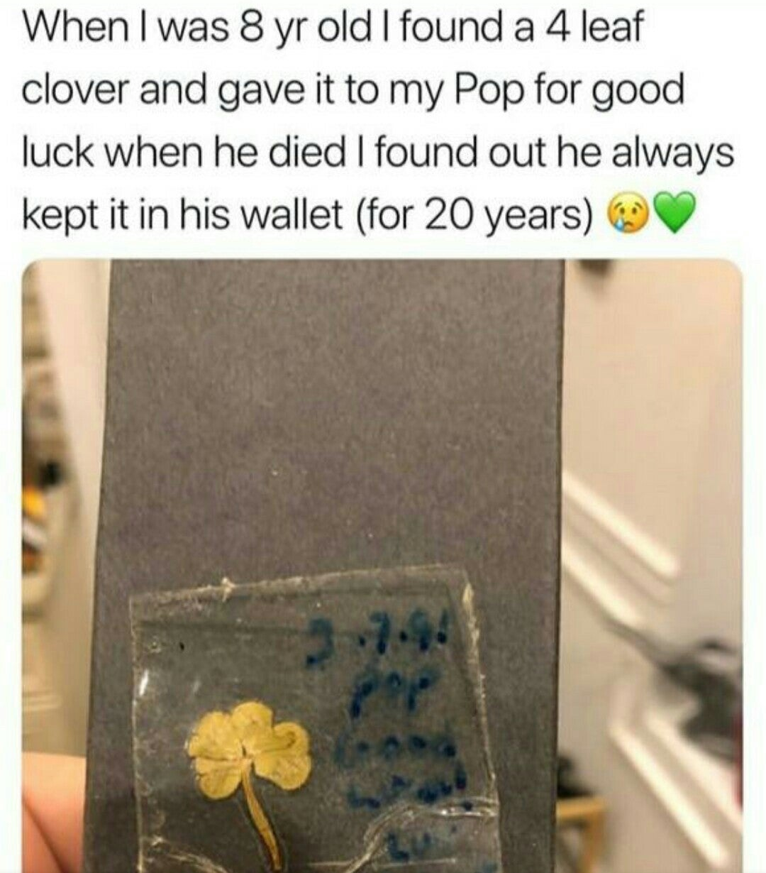 wholesome meme - wallet 4 leaf clover - When I was 8 yr old I found a 4 leaf clover and gave it to my Pop for good luck when he died I found out he always kept it in his wallet for 20 years