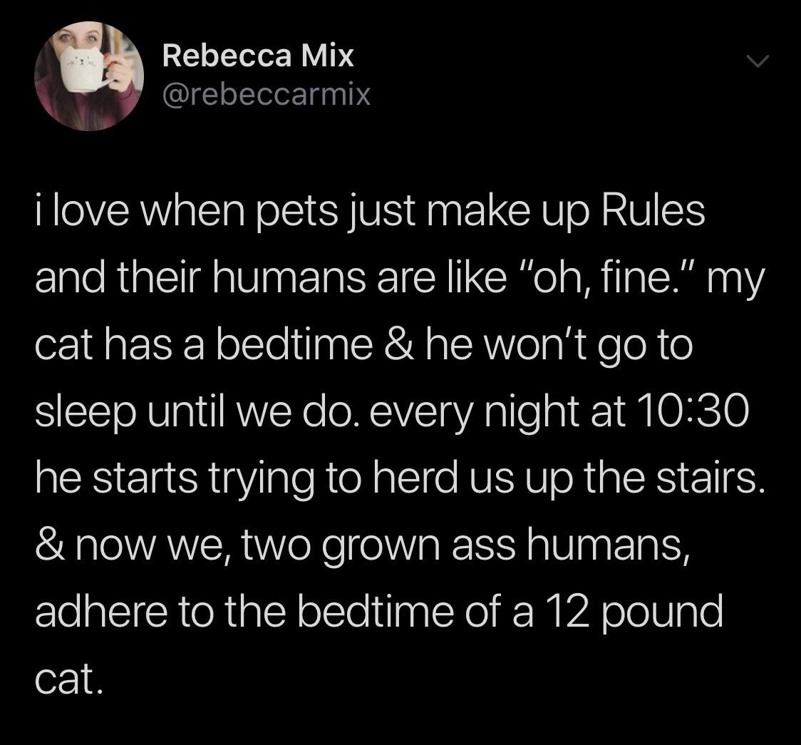 gender neutral bathroom tweet - Rebecca Mix i love when pets just make up Rules and their humans are "oh, fine." my cat has a bedtime & he won't go to sleep until we do. every night at he starts trying to herd us up the stairs. & now we, two grown ass hum