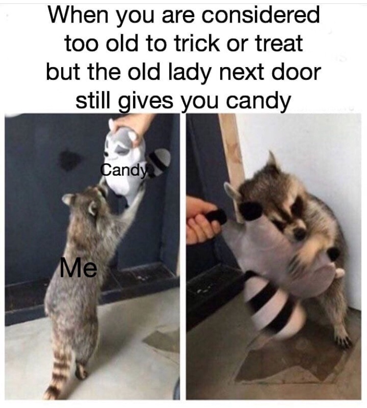 feel better wholesome meme - When you are considered too old to trick or treat but the old lady next door still gives you candy Candy Me