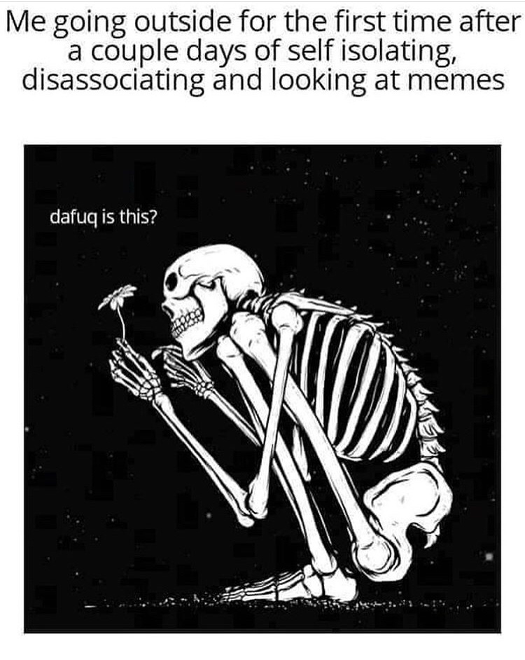 skeleton aesthetic gif - Me going outside for the first time after a couple days of self isolating, disassociating and looking at memes dafuq is this?
