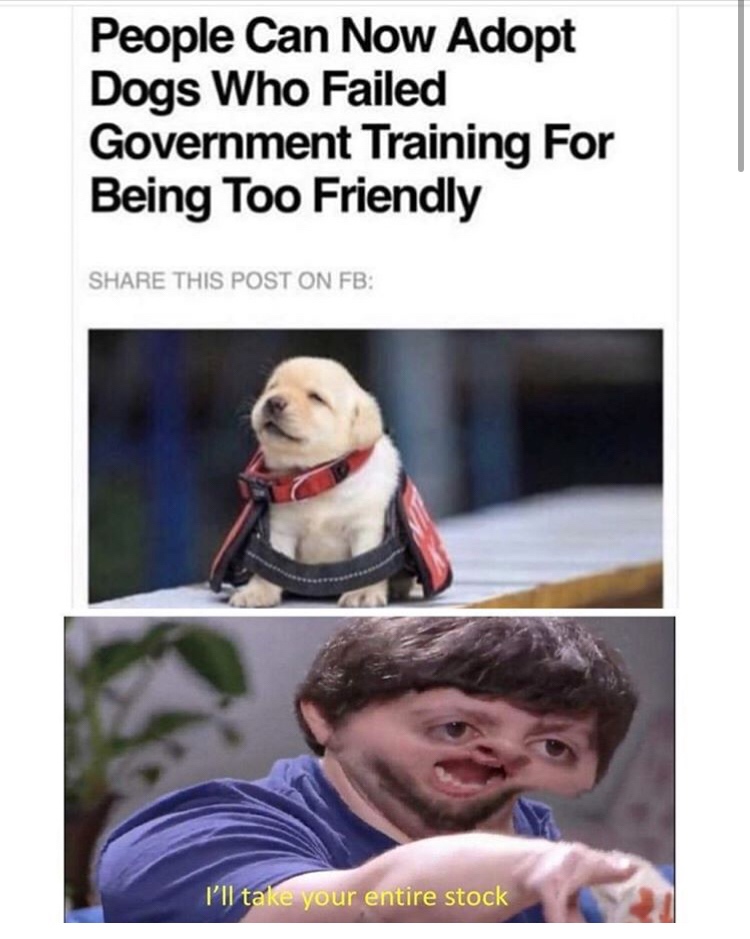 ll take your entire stock memes - People Can Now Adopt Dogs Who Failed Government Training For Being Too Friendly This Post On Fb I'll take your entire stock