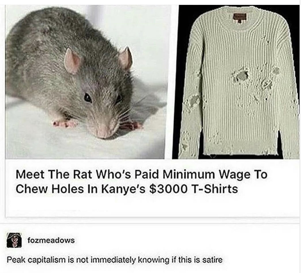 meet the rat who paid minimum wage - Meet The Rat Who's Paid Minimum Wage To Chew Holes In Kanye's $3000 TShirts fozmeadows Peak capitalism is not immediately knowing if this is satire