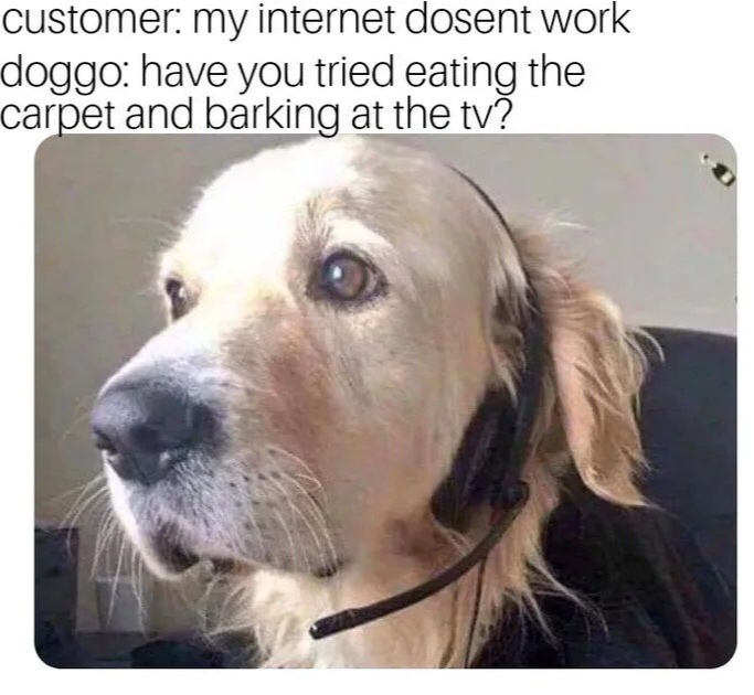 call center dog meme - customer my internet dosent work doggo have you tried eating the carpet and barking at the tv?