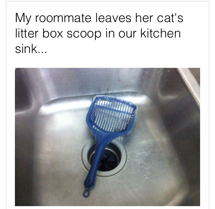 My roommate leaves her cat's litter box scoop in our kitchen sink...