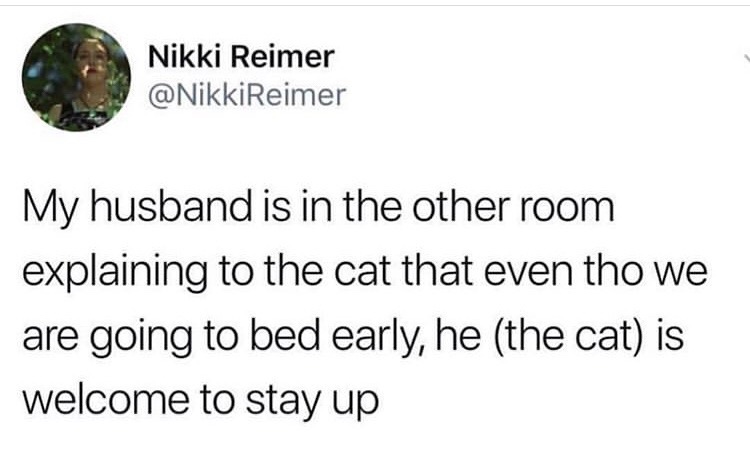 sex is overrated meme - Nikki Reimer My husband is in the other room explaining to the cat that even tho we are going to bed early, he the cat is welcome to stay up