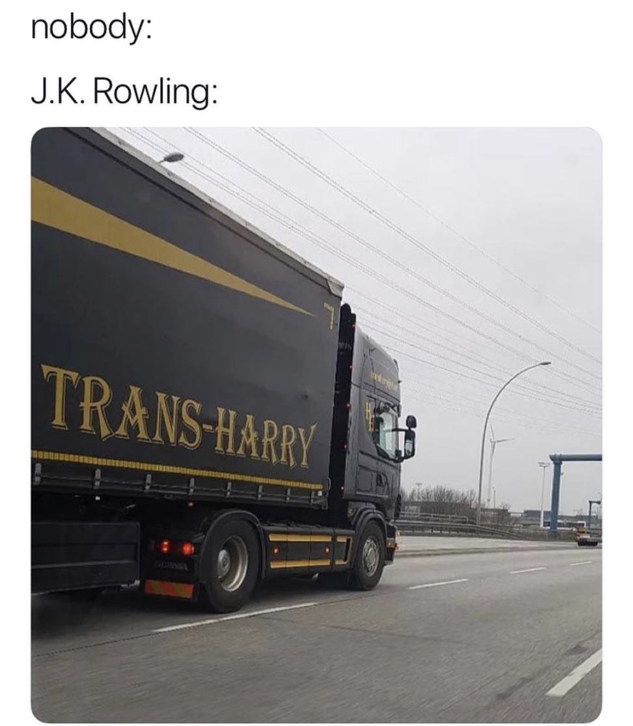 trans harry