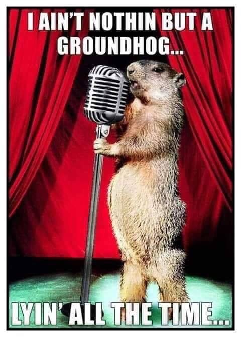 ain t nothin but a groundhog - I Ain'T Nothin But A Groundhog... Lyin All The Time