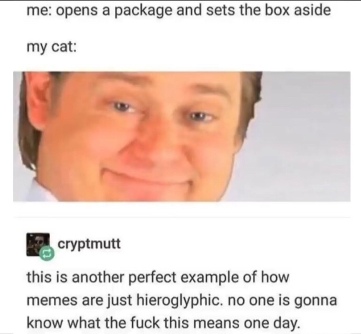 minecraft memes for kids - me opens a package and sets the box aside my cat cryptmutt this is another perfect example of how memes are just hieroglyphic. no one is gonna know what the fuck this means one day.