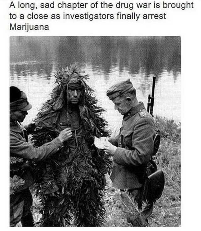 finally arrest marijuana - A long, sad chapter of the drug war is brought to a close as investigators finally arrest Marijuana