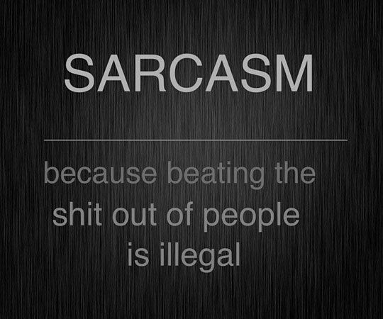 life motto funny - Sarcasm because beating the shit out of people is illegal