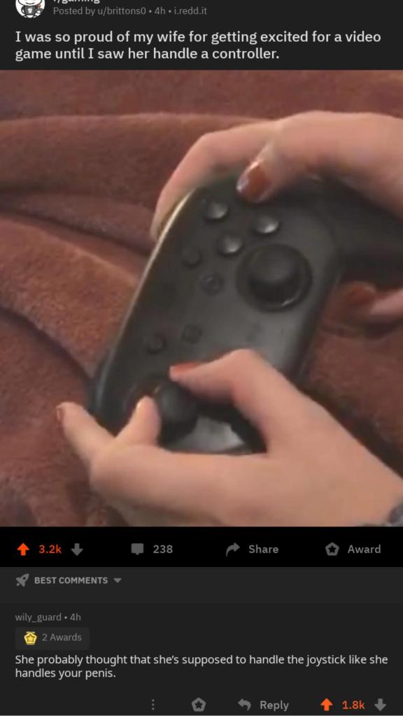 screenshot - Posted by ubrittons0.4h.i.redd.it I was so proud of my wife for getting excited for a video game until I saw her handle a controller. 238 Award Best wily guard. 4h 2 Awards She probably thought that she's supposed to handle the joystick she h