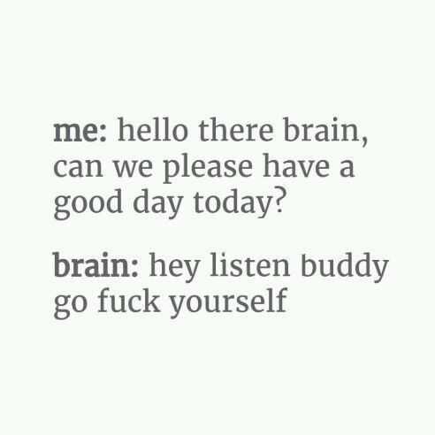 fuck today quotes - me hello there brain, can we please have a good day today? brain hey listen buddy go fuck yourself