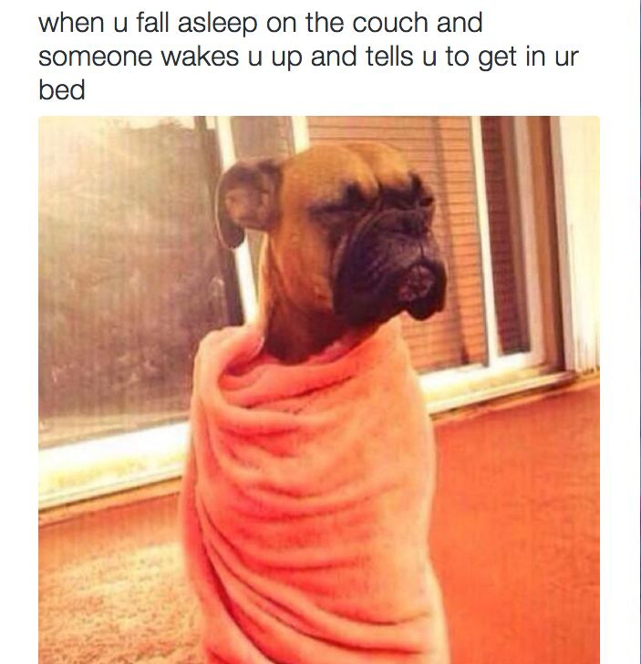 funny hilarious memes - when u fall asleep on the couch and someone wakes u up and tells u to get in ur bed