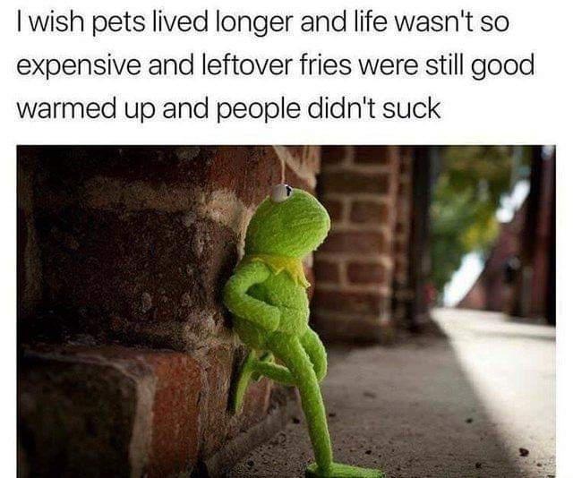 life is expensive meme - I wish pets lived longer and life wasn't so expensive and leftover fries were still good warmed up and people didn't suck