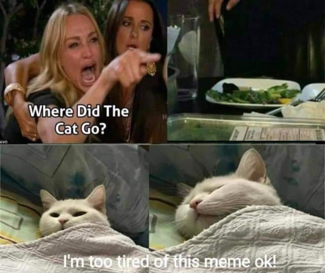 kids these days meme - Where Did The Cat Go? I'm too tired of this meme ok!