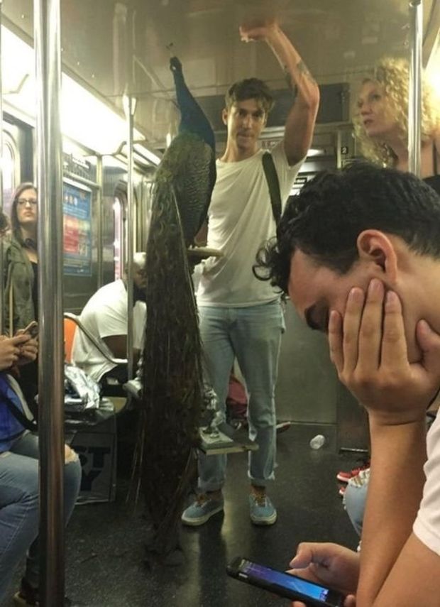 people new york subway