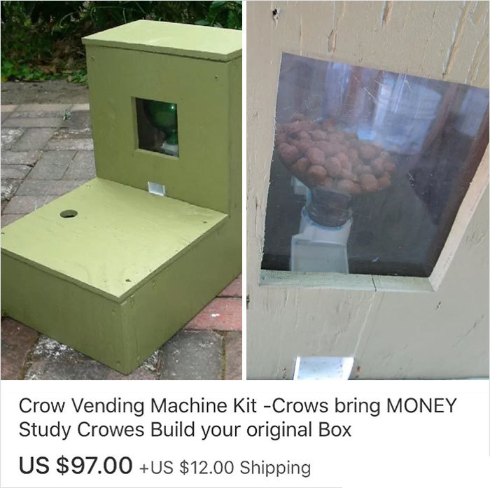 box - Crow Vending Machine Kit Crows bring Money Study Crowes Build your original Box Us $97.00 Us $12.00 Shipping