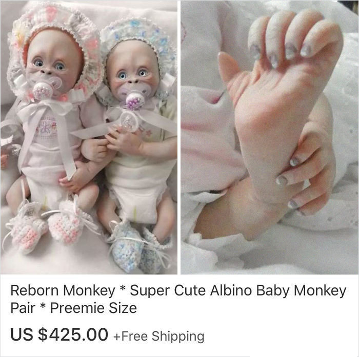 infant - Reborn Monkey Super Cute Albino Baby Monkey Pair Preemie Size Us $425.00 Free Shipping