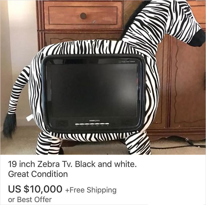 Hance s 19 inch Zebra Tv. Black and white. Great Condition Us $10,000 Free Shipping or Best Offer