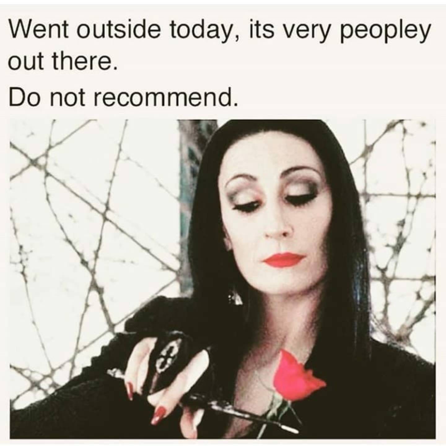 morticia addams happy birthday - Went outside today, its very peopley out there. Do not recommend.
