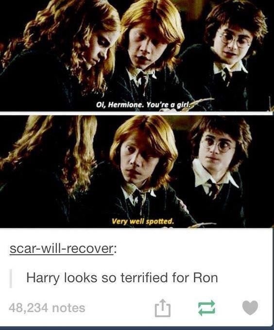 memes harry potter - Oi, Hermione. You're a girl. Very well spotted. scarwillrecover Harry looks so terrified for Ron 48,234 notes