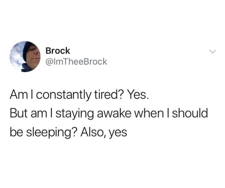 am i constantly tired yes but am i staying awake when - Brock Am I constantly tired? Yes. But am I staying awake when I should be sleeping? Also, yes
