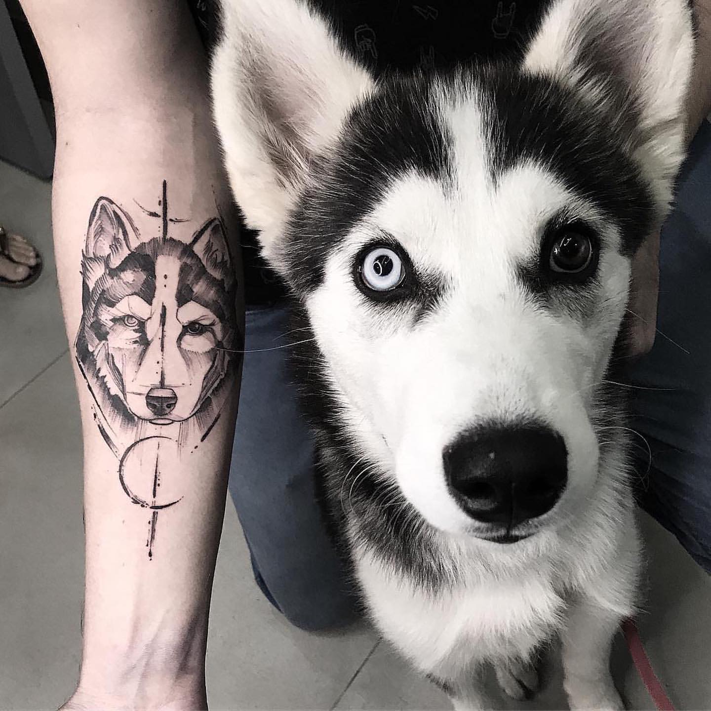 husky tattoo design