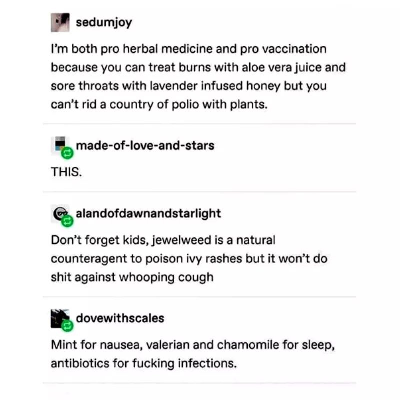 document - sedumjoy I'm both pro herbal medicine and pro vaccination because you can treat burns with aloe vera juice and sore throats with lavender infused honey but you can't rid a country of polio with plants. madeofloveandstars This. Don't forget kids