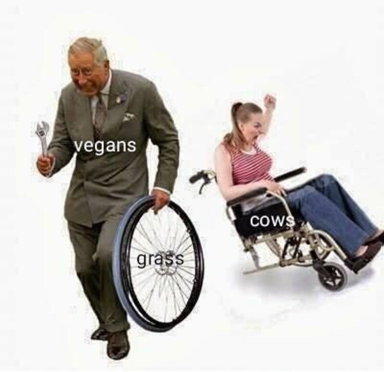 man stealing wheelchair wheel meme - vegans Cows grass