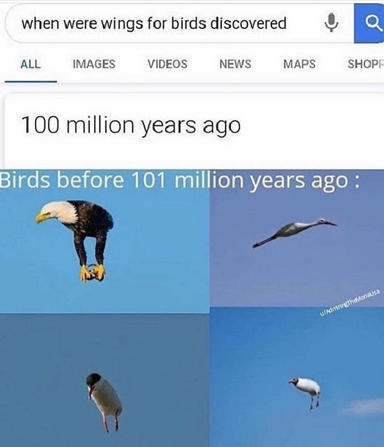 Humour - when were wings for birds discovered All Images Videos News Maps Shope 100 million years ago Birds before 101 million years ago uladmingtonusa