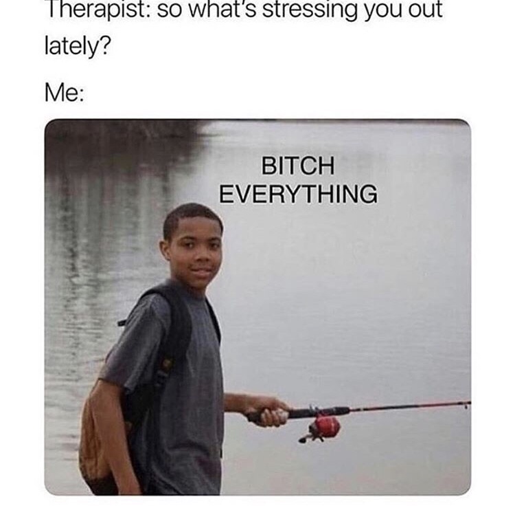 therapist meme - Therapist so what's stressing you out lately? Me Bitch Everything