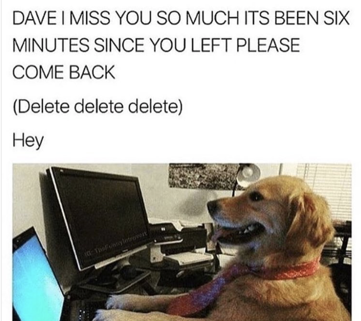 have no idea what i m doing code - Dave I Miss You So Much Its Been Six Minutes Since You Left Please Come Back Delete delete delete Hey
