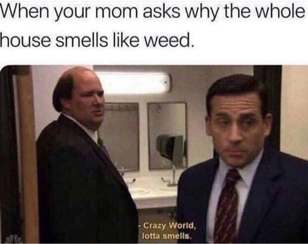 the office - your mom asks why the whole house smells like weed - When your mom asks why the whole house smells weed. Crazy World, lotta smells.
