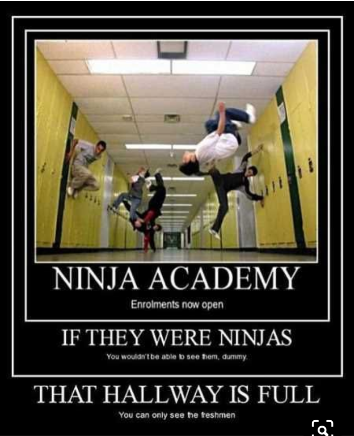 ninja academy meme - Ninja Academy Enrolments now open If They Were Ninjas You would be able to see tem, dummy That Hallway Is Full You can only see the teshmen