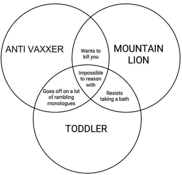 anti vaxxer mountain lion toddler - Anti Vaxxer Wants to kill you | Mountain Lion Impossible to reason with Goes off on a lot Resists of rambling taking a bath monologues Toddler